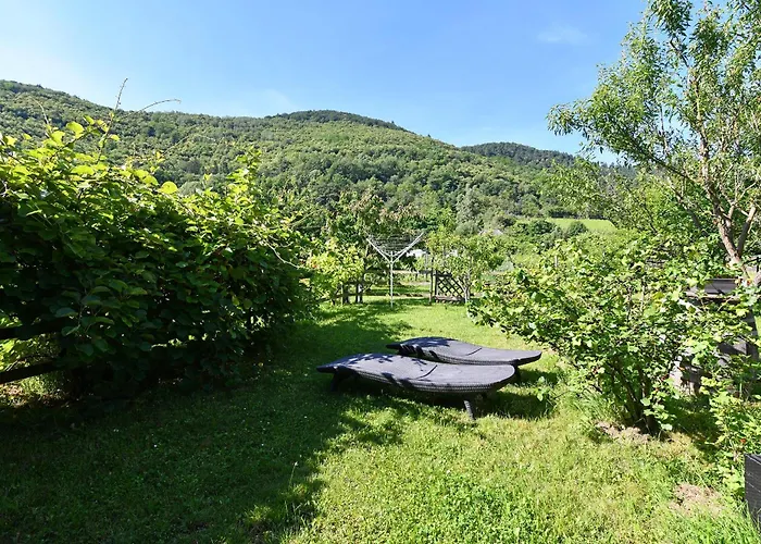 Pâquerettes Avec Jardin Hébergement de vacances Kaysersberg-Vignoble